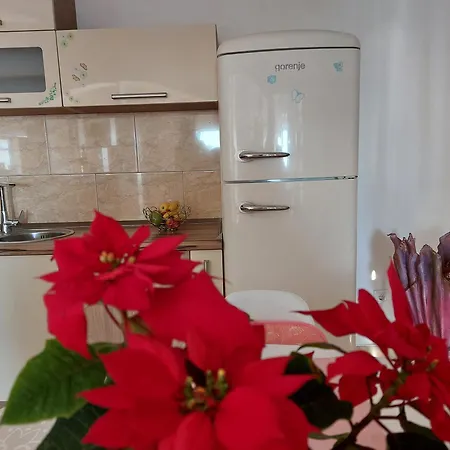 Apartment Zvonimir *
