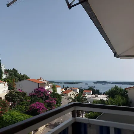 Zvonimir *