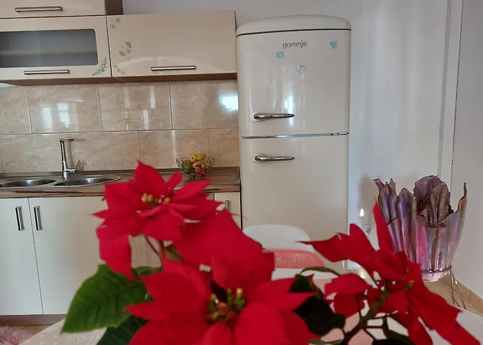 Apartman Zvonimir *